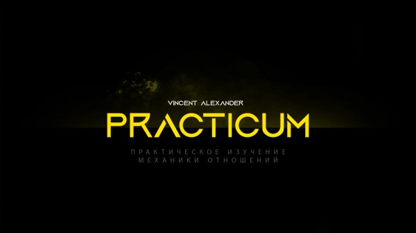 Vincent Alexander - Закрытый урок Практикума. Поле Отношений