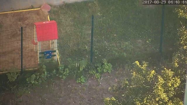 PTZ 2Mp 4G Zoom 20X morning part 2 смотреть онлайн