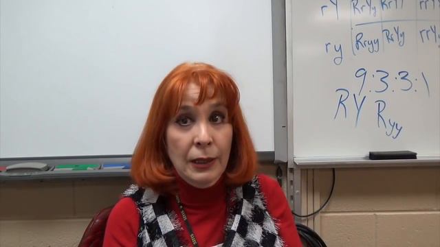 GS2934 Португалия. Часть 2я- Надо регистрироваться снова. смотреть онлайн