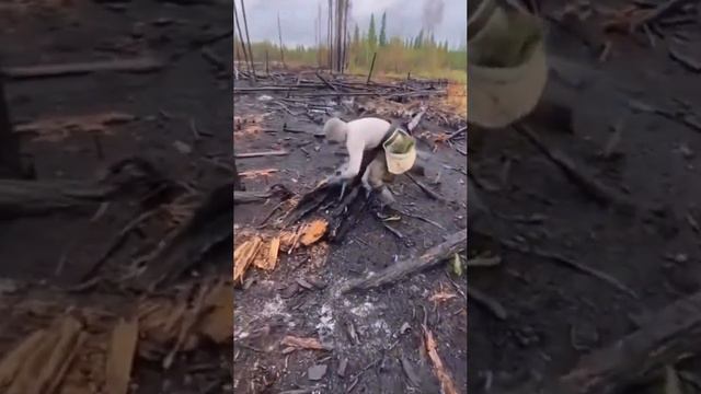 Антуан Мозес, 23-летний активист-эколог из Квебека смотреть онлайн