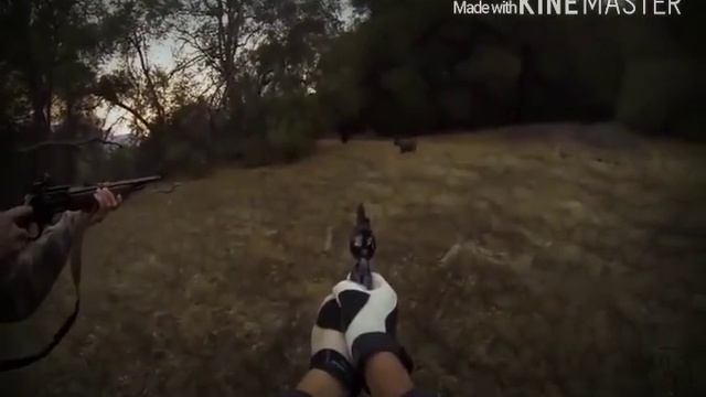 Топ 10 нападений кабанов смотреть онлайн