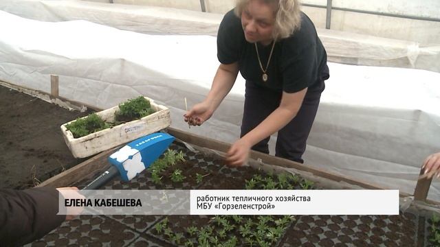 Улицы Хабаровска украсят цветами после 15 мая смотреть онлайн