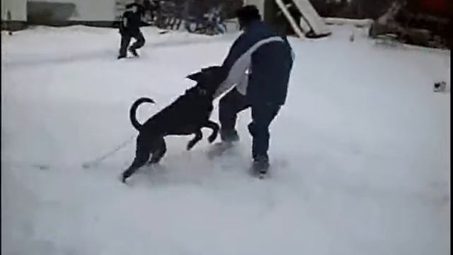 kirk olympics!!! смотреть онлайн