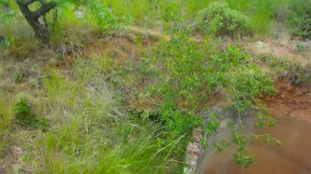 На вершине Аю Дага. Медведь гора - Крым . смотреть онлайн