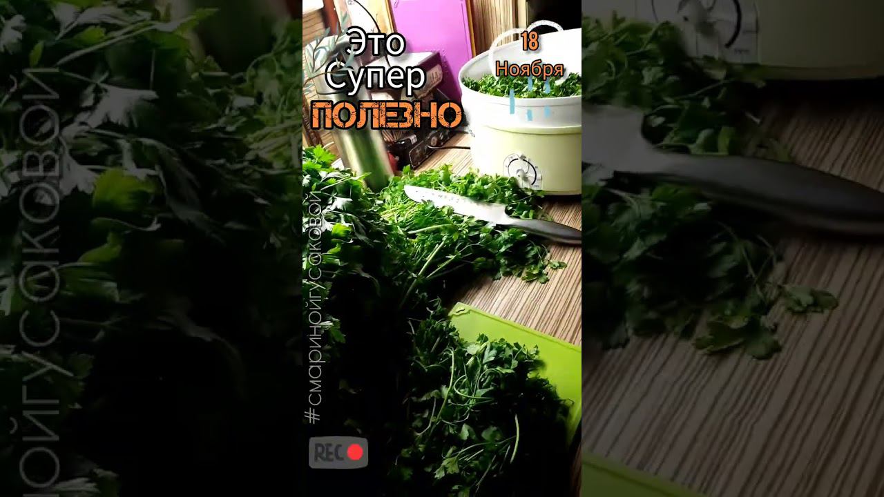 Последние заготовки сезона  БИОДОБАВКА ИЗ ПЕТРУШКИ, в ней много полезностей НЕ ПРОПАДАТЬ ЖЕ ДОБРУ! смотреть онлайн