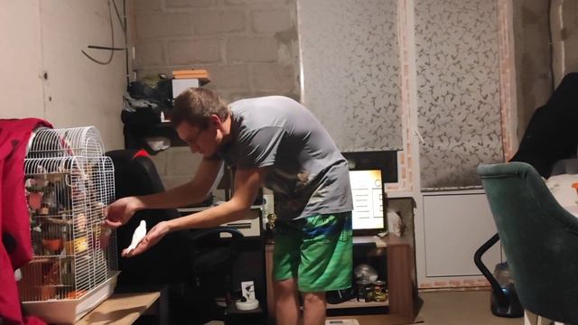 Волнистый попугай Тоша Рулит Танком😁 🐦🐦🐦🙈🙈🙈😆😅😂🤗🤪🤭🤭🤭🤫 смотреть онлайн