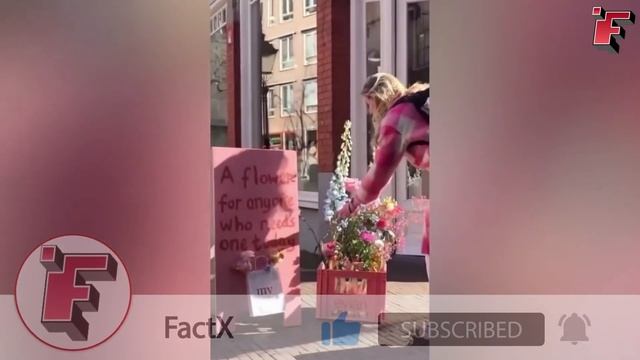 Попробуй НЕ ЗАПЛАКАТЬ! Трогательные и Добрые Моменты, Снятые На Камеру смотреть онлайн