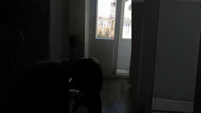 Глеб Шадрин "Момент из жизни" Исполняет автор Глеб Шадрин 8лет г. Иркутск смотреть онлайн