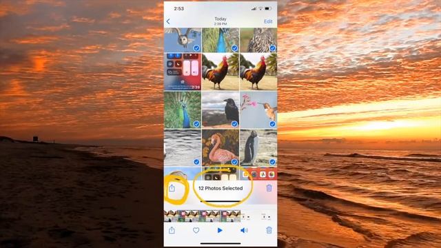 How To AirDrop Files From IPhone To MAC