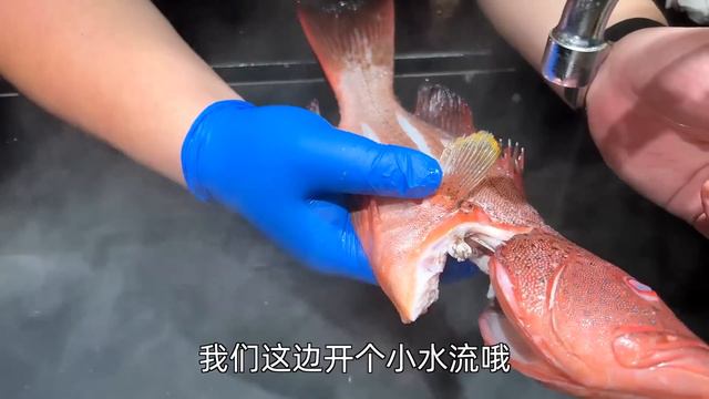 天價皇帝星斑？ ！ 憑什麼貴得那麼離譜？顏值即正義！ 比東星斑好吃在哪裡？ #Amoy硬邦幫 смотреть онлайн