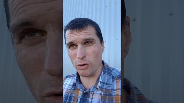 Я СВОБОДЕН! #автошкола смотреть онлайн