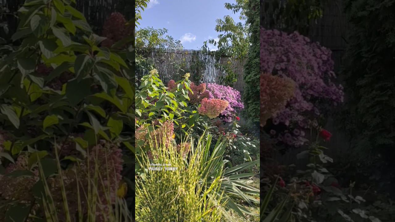 Наш ПРЕКРАСНЫЙ#сад 5 октября смотреть онлайн