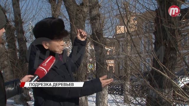В Улан-Удэ началась омолаживающая подрезка деревьев и кустарников смотреть онлайн