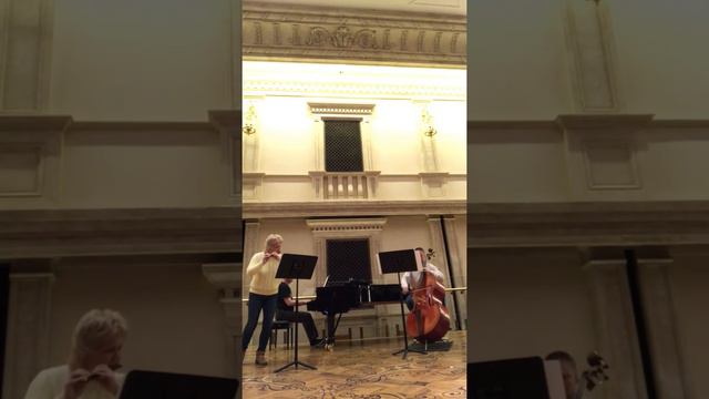 Kling Henri Elephant und Moskite . Mitrofanova Elena.Borisov Gennadi.Shaev Boris смотреть онлайн