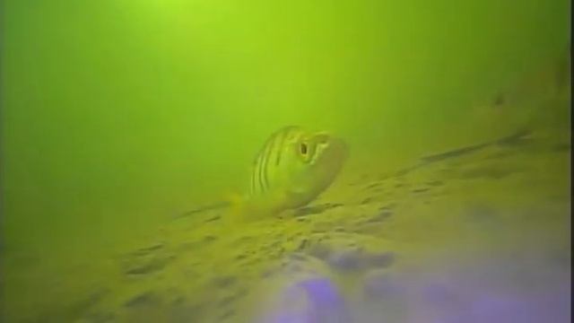 карьер в пойме 30 марта 2018г смотреть онлайн