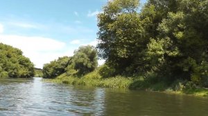 Выдаю рыбные места на реке Быстрая Сосна возле села Трубицино.