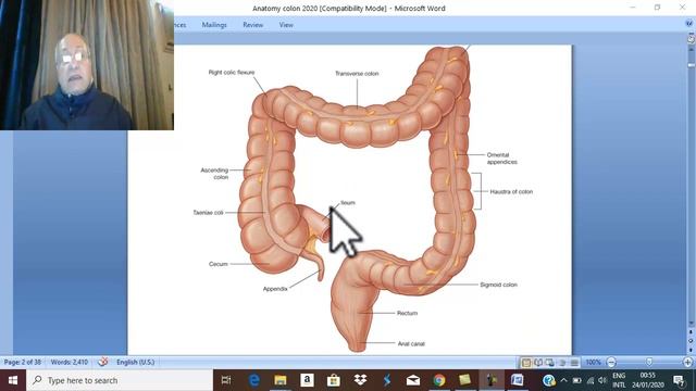 Anatomy GIT Module ( Features of large intestine ) , by Dr. Wahhdan . смотреть онлайн