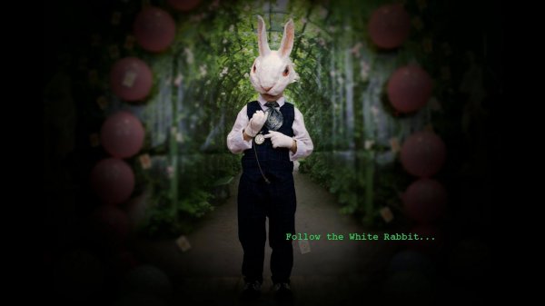 White Rabbit