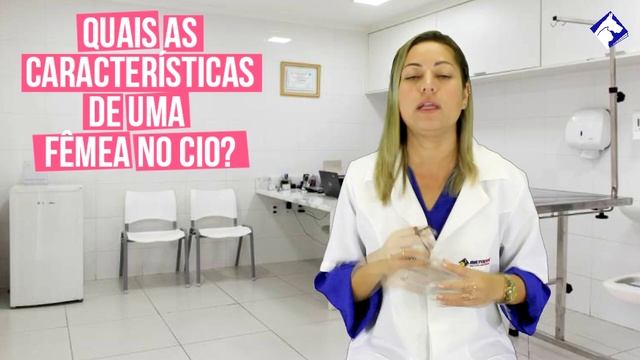 Quais as características de uma fêmea no cio - Auxiliar de Veterinário - Micronet смотреть онлайн