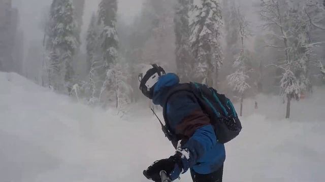 Снега на поляне нет в 2к19