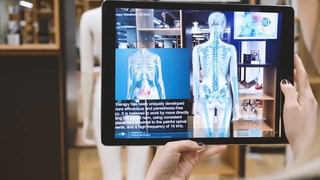 Визуализация анатомии человека