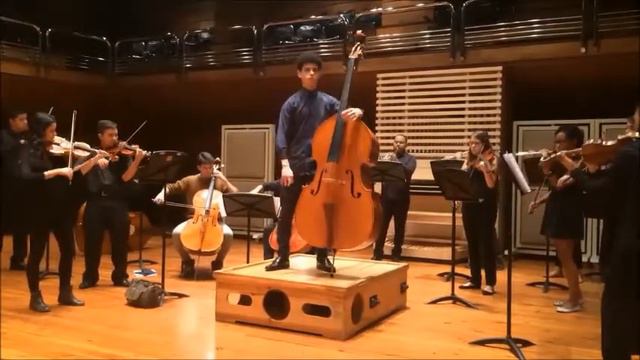 Dittersdorf Double Bass Concerto on Viennese tuning 3rd Mov. смотреть онлайн