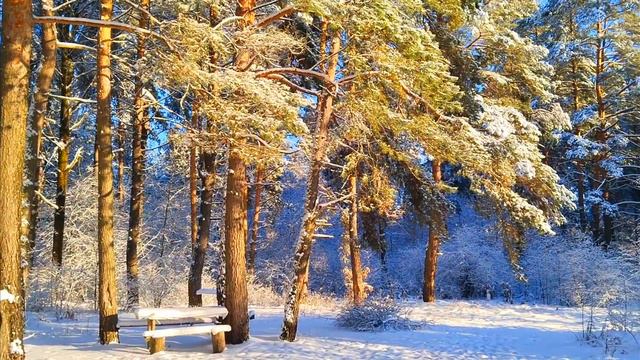 Зимняя зарисовка 19 12 2022 год смотреть онлайн