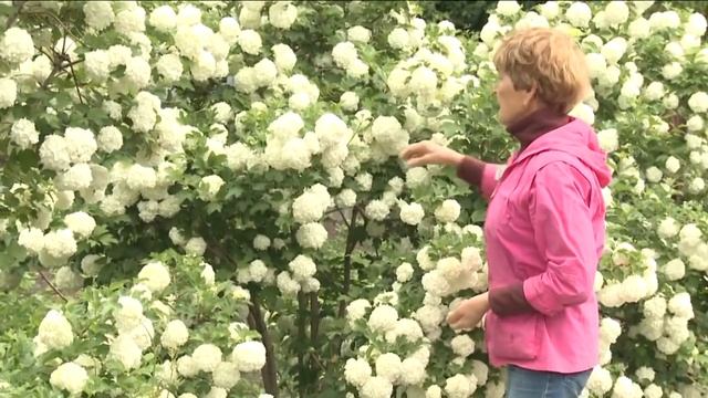 Калина Бульдонеж смотреть онлайн