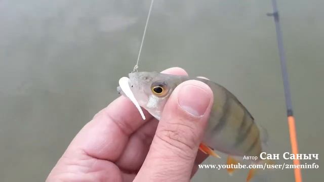 Рыболовные зарисовки Тура, Андреевское, карьер в Паренкино, старицы Туры смотреть онлайн