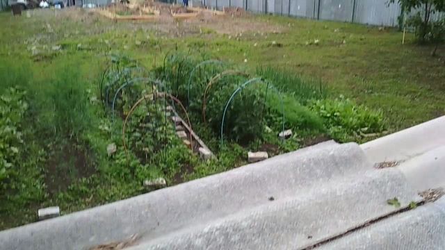 VID_20230710_145449.mp4 смотреть онлайн
