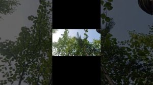 как я собираю грибы в Мурманской области