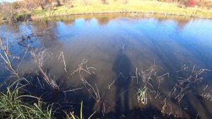 Рыбалка на ЗАКИДУШКИ на МАКУХУ. Ловля Карпа, Сазана в Октябре 2021