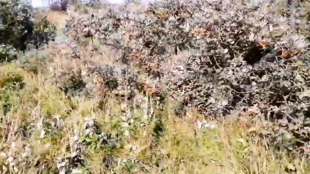 Sakhalin Island, Russia. Выходные на Сахалине. Шахтерск. #крайземли #переезд #наморе