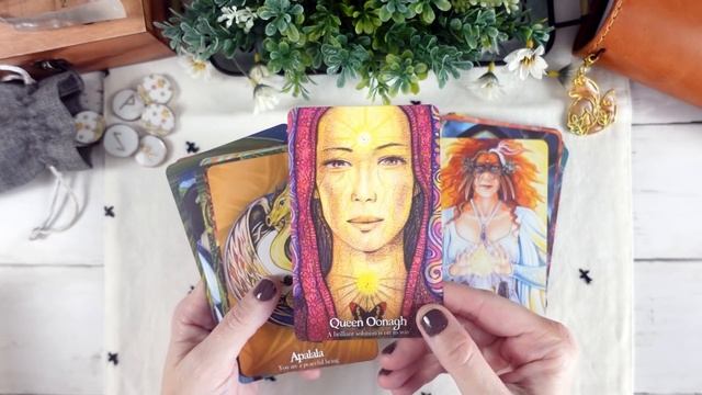 June Reflections: decks, books and more (2021) смотреть онлайн