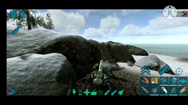 Taming Direwolf | ARK | Completion series | #24 | смотреть онлайн