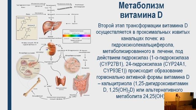 Цуцаева А.Н. Роль Витамина D при заболевания почек и мочевыделительной системы. смотреть онлайн