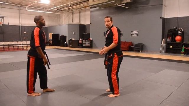 Technique of the Week Goju-Shorei Karate Purple #16 смотреть онлайн