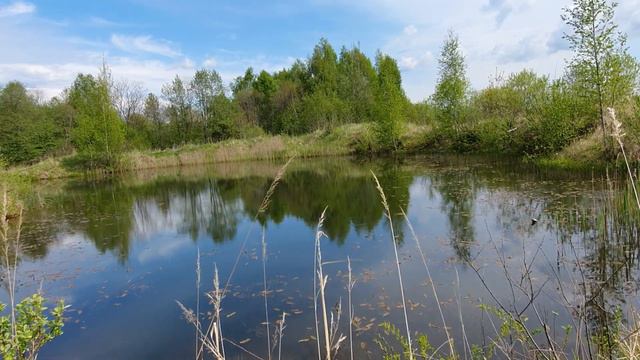 Ловля кильки летом смотреть онлайн
