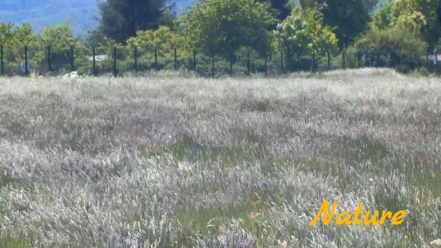 Where Am I? GERMANY|NRW|DETMOLD