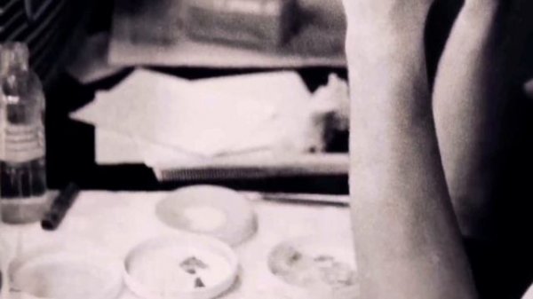 НУРЕЕВ-Либерта