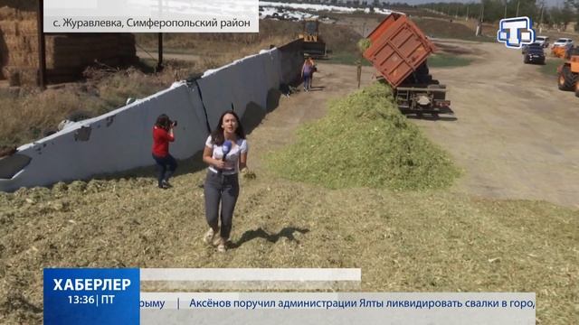 Сельское хозяйство Крыма смотреть онлайн