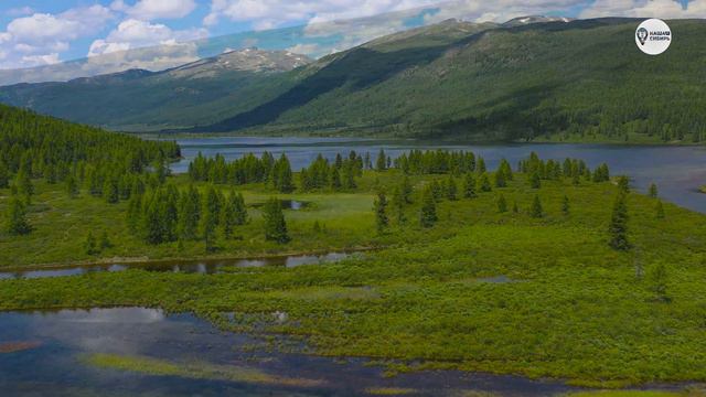 Наша Сибирь 4К: Исток реки Чульча смотреть онлайн