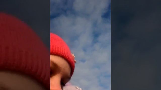 машина  подпись   лесотундра класс