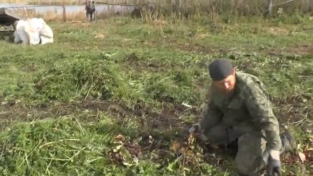 увезём ли всё сразу: морковь, свёкла и иное. Окт.2019 смотреть онлайн