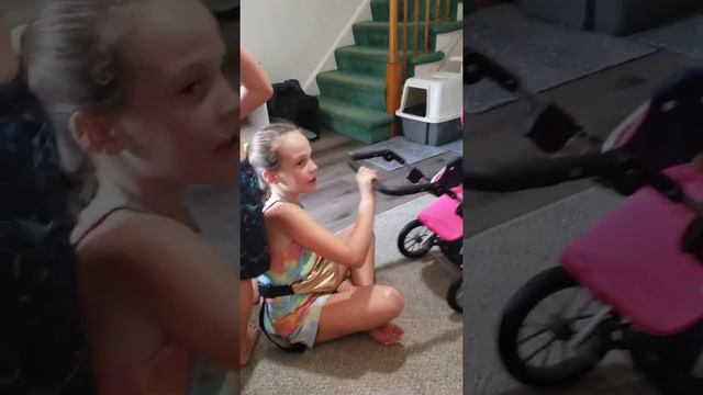 Bengal kitten in a baby doll stroller смотреть онлайн