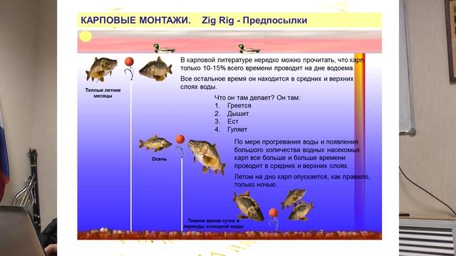 Самарский карповый клуб. Современные карповые монтажи.