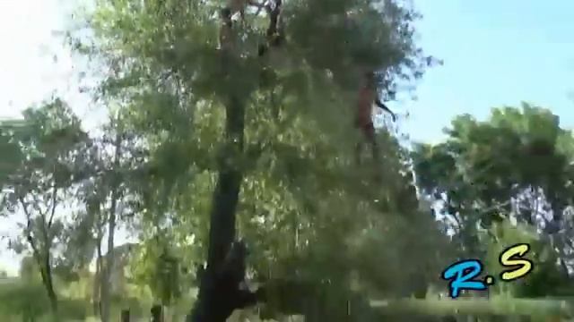 Таджик Экстрим ! Курган Тюбе Таджикистан смотреть онлайн