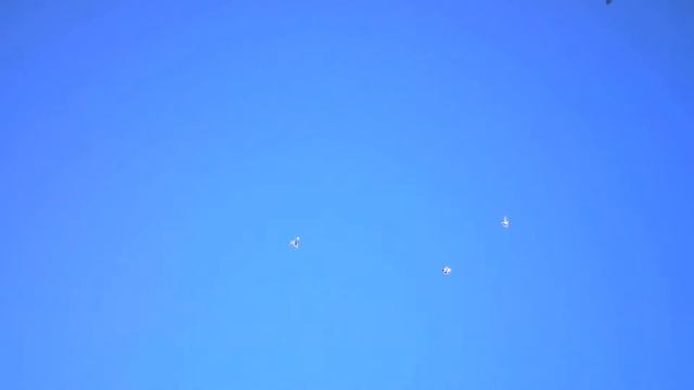 Голуби Кз вот так воюем каждый день. 2 партия смотреть онлайн