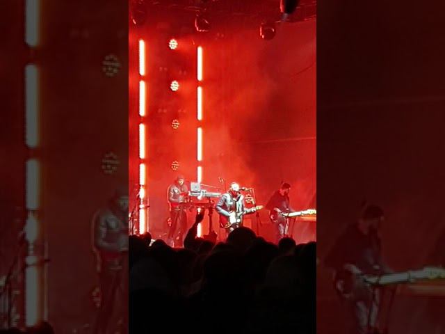 #Shorts Zvery смотреть онлайн