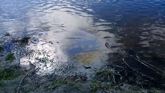 Баргузин 27 05 20 смотреть онлайн